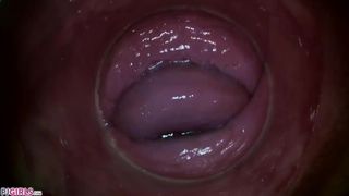 PJGIRLS - Camera Deep inside Paula Shy's Vagina (full HD Pussy Cam)